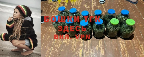 ПСИЛОЦИБИНОВЫЕ ГРИБЫ Алексин
