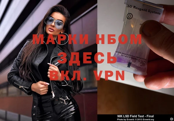 ПСИЛОЦИБИНОВЫЕ ГРИБЫ Алексин