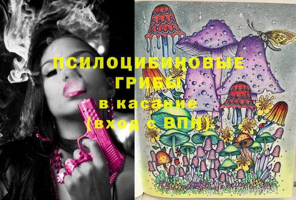 дурь Алексеевка
