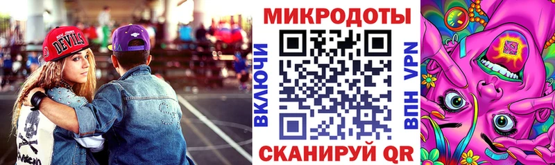 где найти Грязовец Галлюциногенные грибы Psilocybine cubensis