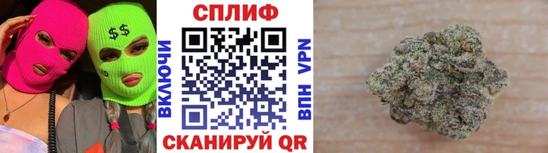 Каннабис Amnesia  Грязовец 